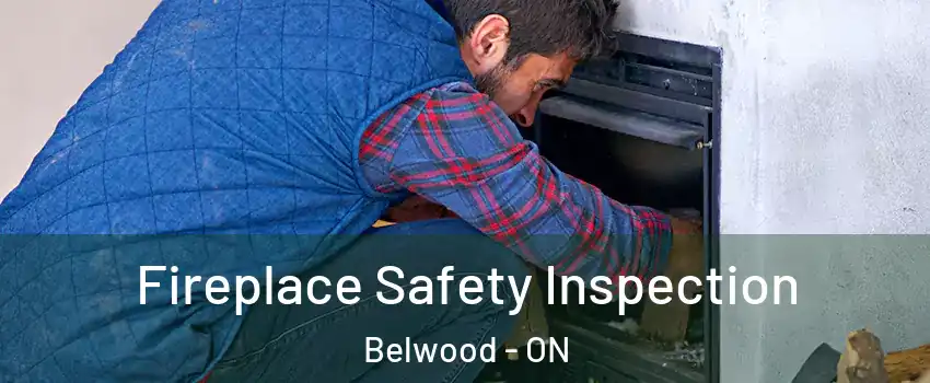  Fireplace Safety Inspection Belwood - ON
