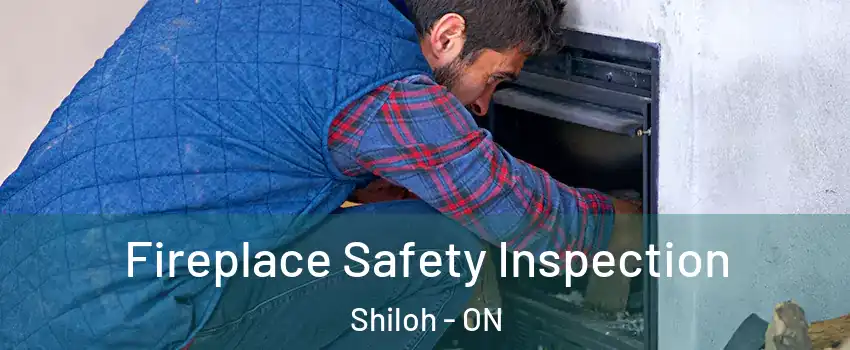  Fireplace Safety Inspection Shiloh - ON