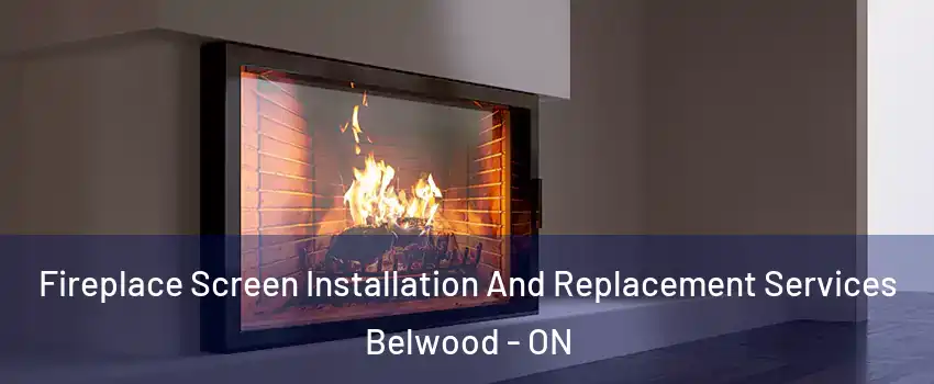  Fireplace Screen Installation And Replacement Services Belwood - ON