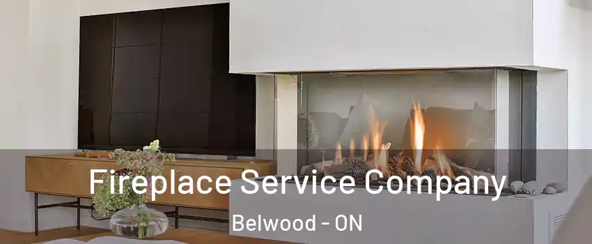  Fireplace Service Company Belwood - ON