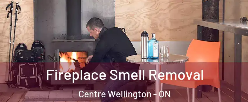  Fireplace Smell Removal Centre Wellington - ON