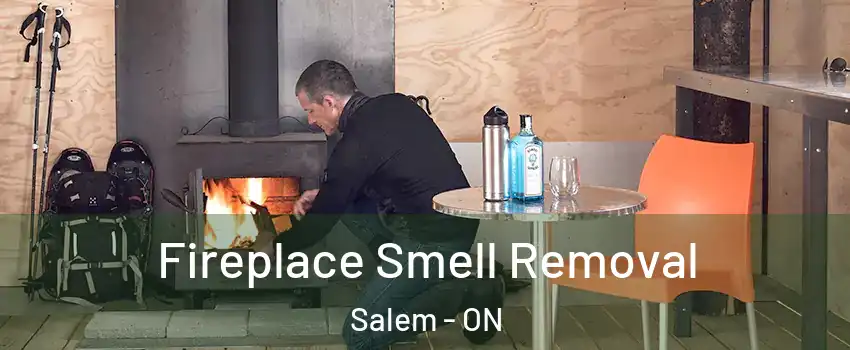  Fireplace Smell Removal Salem - ON