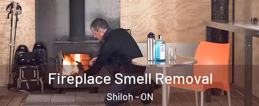  Fireplace Smell Removal Shiloh - ON