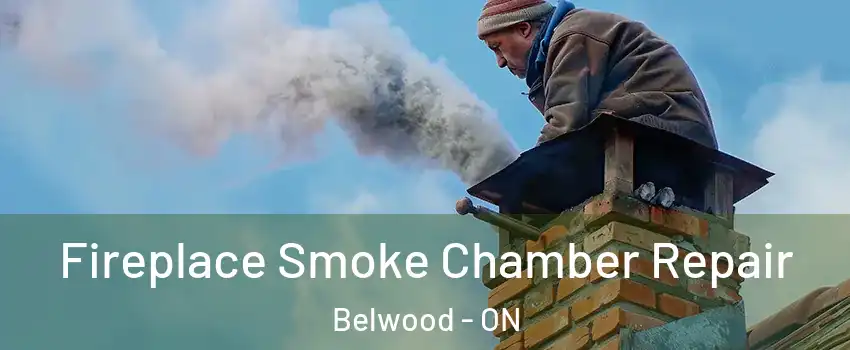 Fireplace Smoke Chamber Repair Belwood - ON