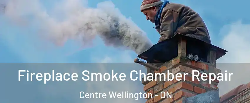 Fireplace Smoke Chamber Repair Centre Wellington - ON