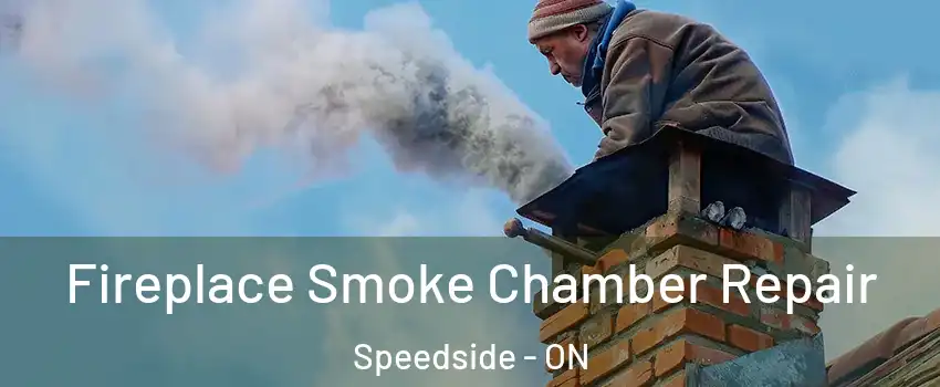  Fireplace Smoke Chamber Repair Speedside - ON