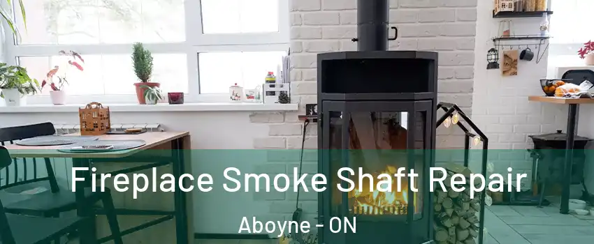 Fireplace Smoke Shaft Repair Aboyne - ON