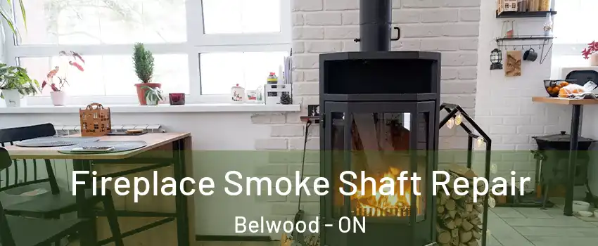  Fireplace Smoke Shaft Repair Belwood - ON