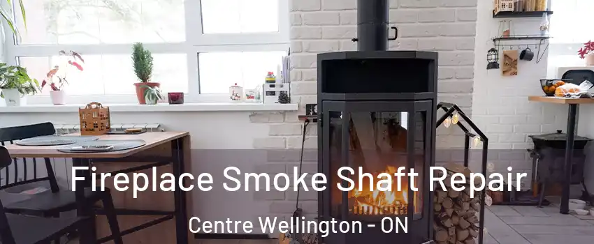 Fireplace Smoke Shaft Repair Centre Wellington - ON