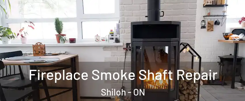 Fireplace Smoke Shaft Repair Shiloh - ON