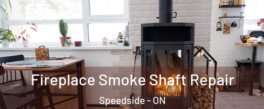  Fireplace Smoke Shaft Repair Speedside - ON