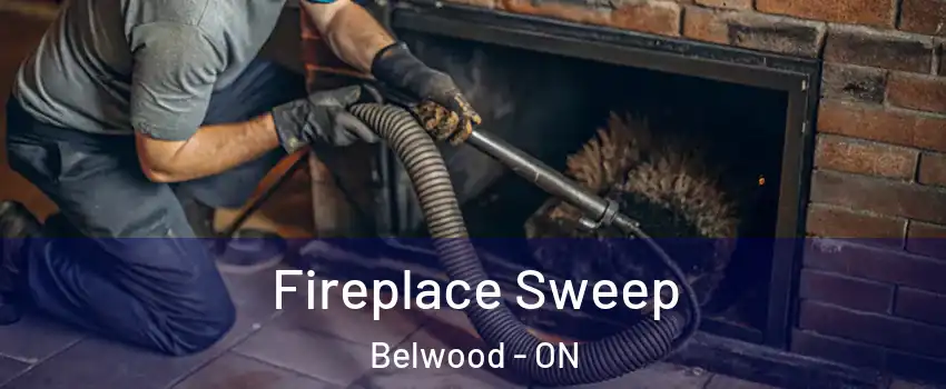  Fireplace Sweep Belwood - ON