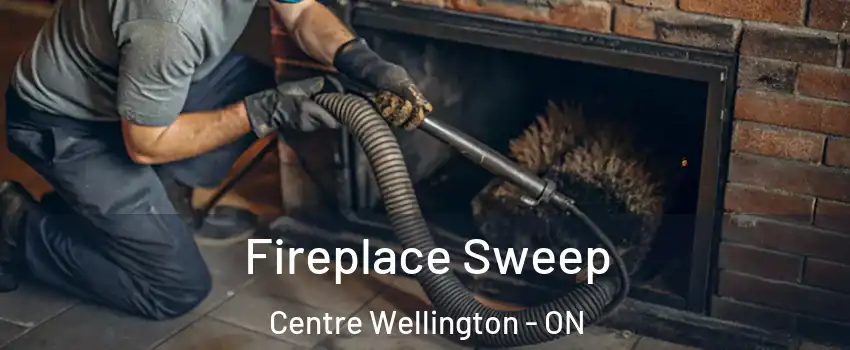  Fireplace Sweep Centre Wellington - ON