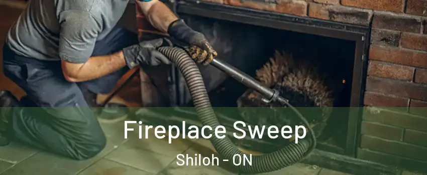  Fireplace Sweep Shiloh - ON