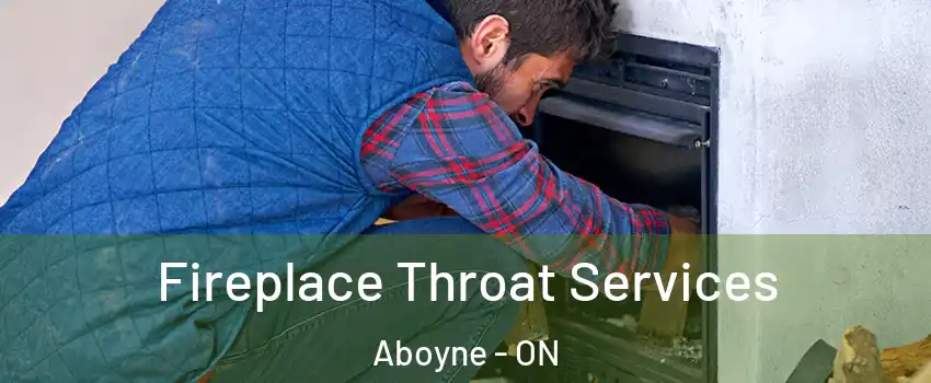  Fireplace Throat Services Aboyne - ON