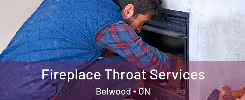  Fireplace Throat Services Belwood - ON