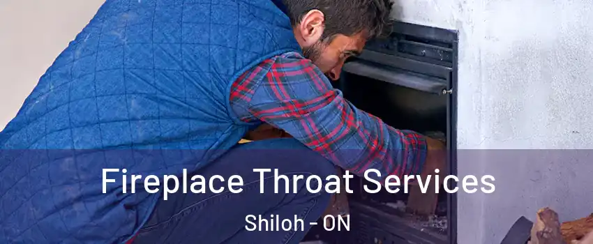  Fireplace Throat Services Shiloh - ON