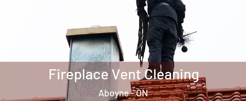  Fireplace Vent Cleaning Aboyne - ON