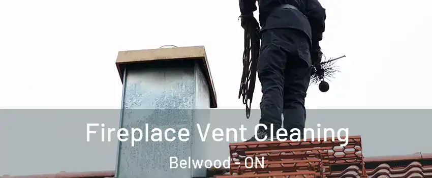  Fireplace Vent Cleaning Belwood - ON