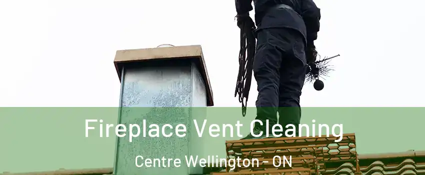  Fireplace Vent Cleaning Centre Wellington - ON