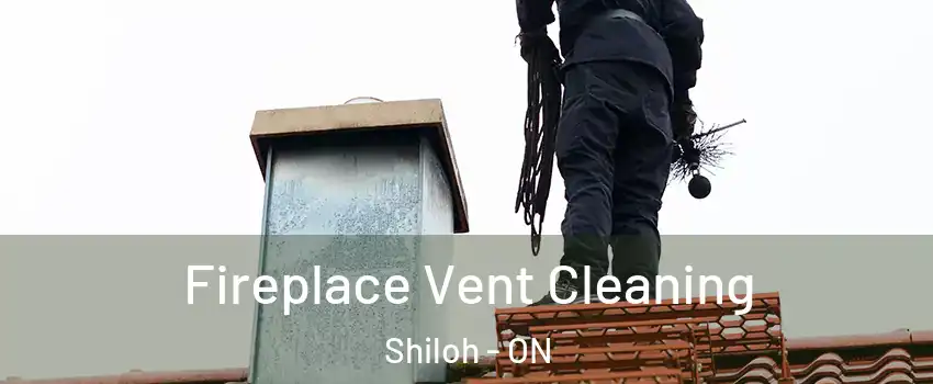 Fireplace Vent Cleaning Shiloh - ON