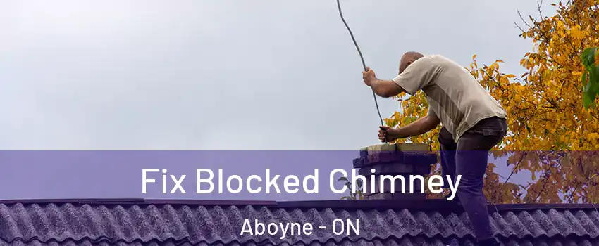  Fix Blocked Chimney Aboyne - ON