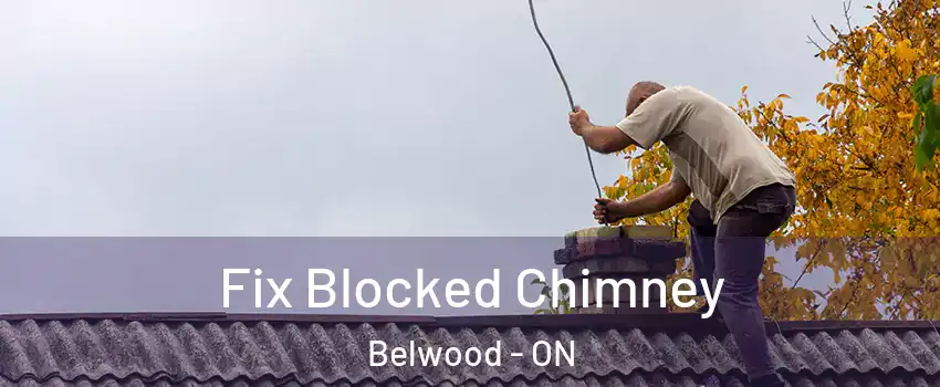 Fix Blocked Chimney Belwood - ON