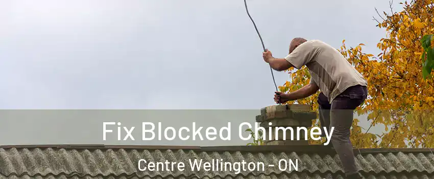  Fix Blocked Chimney Centre Wellington - ON