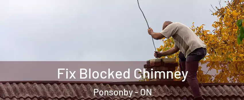  Fix Blocked Chimney Ponsonby - ON