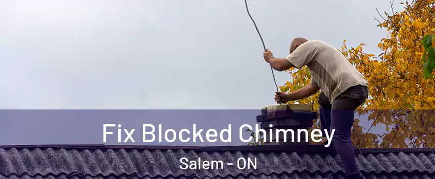  Fix Blocked Chimney Salem - ON