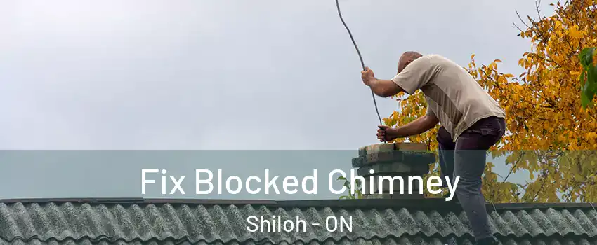 Fix Blocked Chimney Shiloh - ON