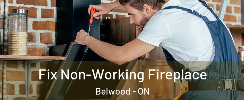  Fix Non-Working Fireplace Belwood - ON