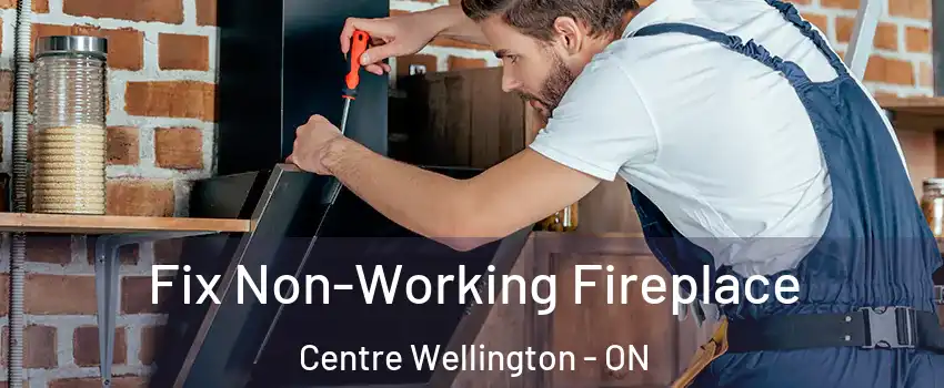  Fix Non-Working Fireplace Centre Wellington - ON
