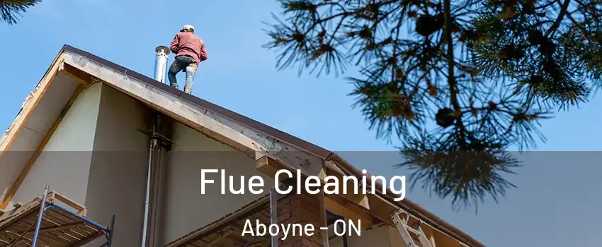 Flue Cleaning Aboyne - ON