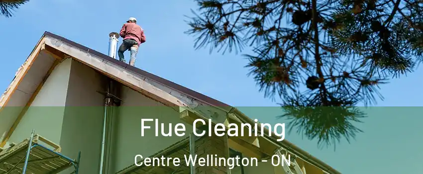  Flue Cleaning Centre Wellington - ON