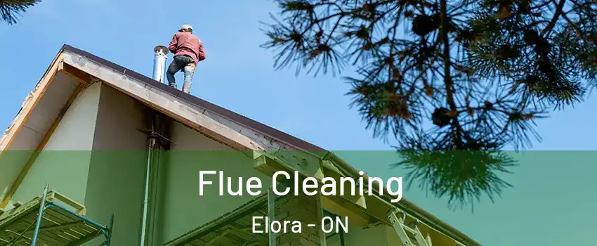 Flue Cleaning Elora - ON