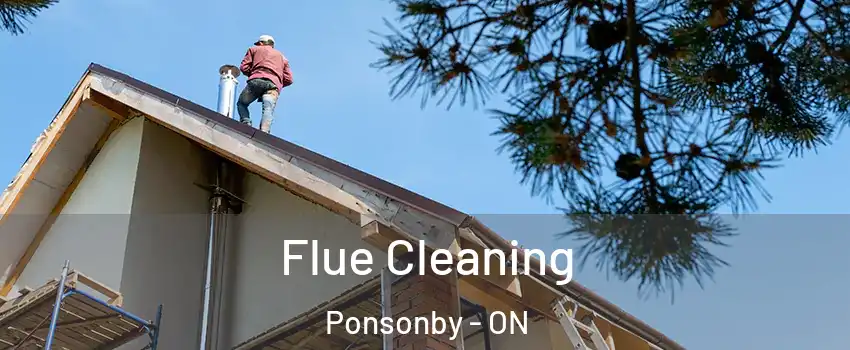  Flue Cleaning Ponsonby - ON