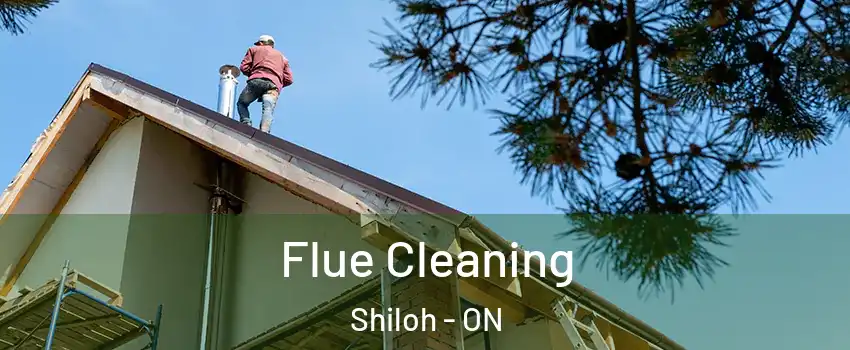 Flue Cleaning Shiloh - ON