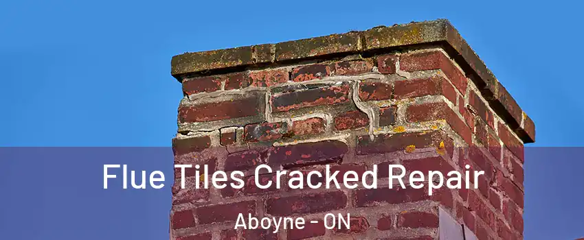  Flue Tiles Cracked Repair Aboyne - ON