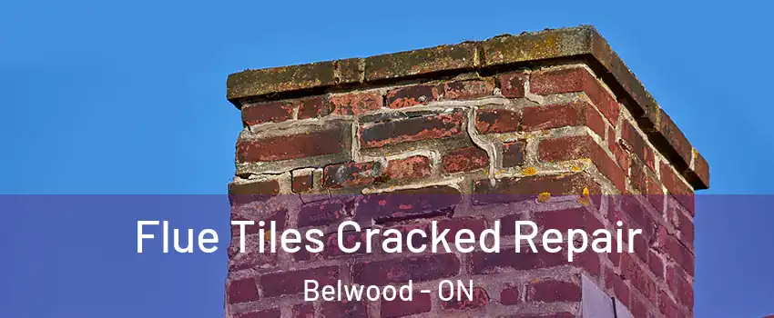  Flue Tiles Cracked Repair Belwood - ON