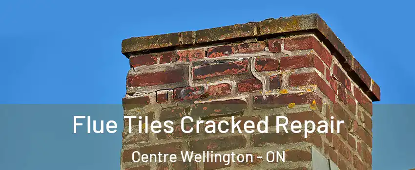 Flue Tiles Cracked Repair Centre Wellington - ON