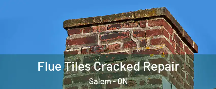  Flue Tiles Cracked Repair Salem - ON