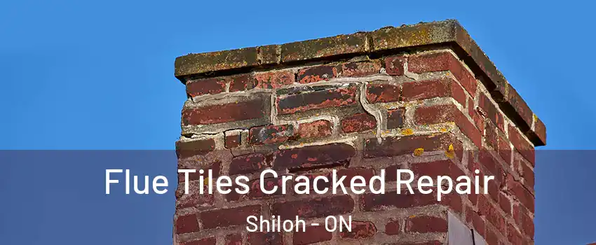  Flue Tiles Cracked Repair Shiloh - ON