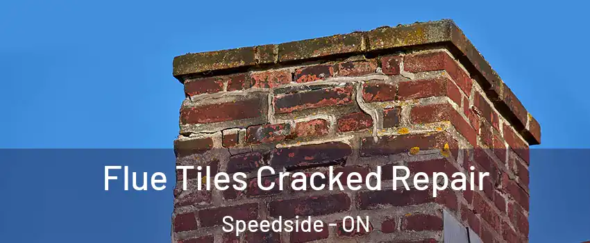  Flue Tiles Cracked Repair Speedside - ON