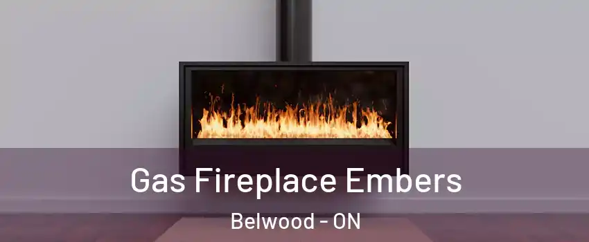  Gas Fireplace Embers Belwood - ON