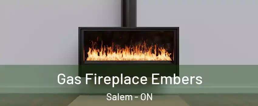  Gas Fireplace Embers Salem - ON