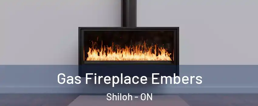  Gas Fireplace Embers Shiloh - ON