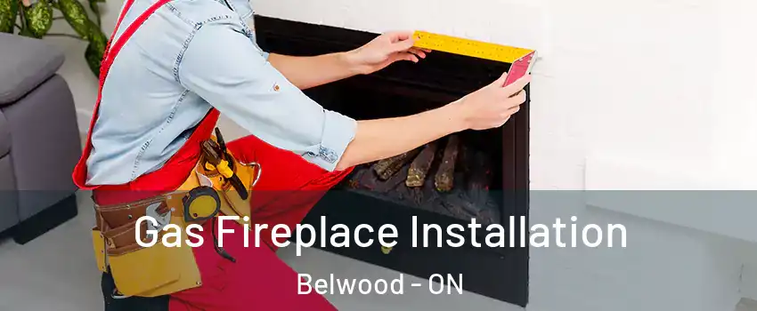 Gas Fireplace Installation Belwood - ON