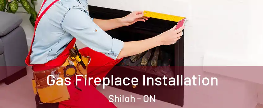  Gas Fireplace Installation Shiloh - ON