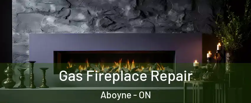  Gas Fireplace Repair Aboyne - ON